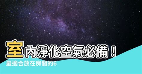 鮮花放房間|房間可以放什麼鮮花？居家擺花高效指南：臥室、客廳鮮花選擇及。